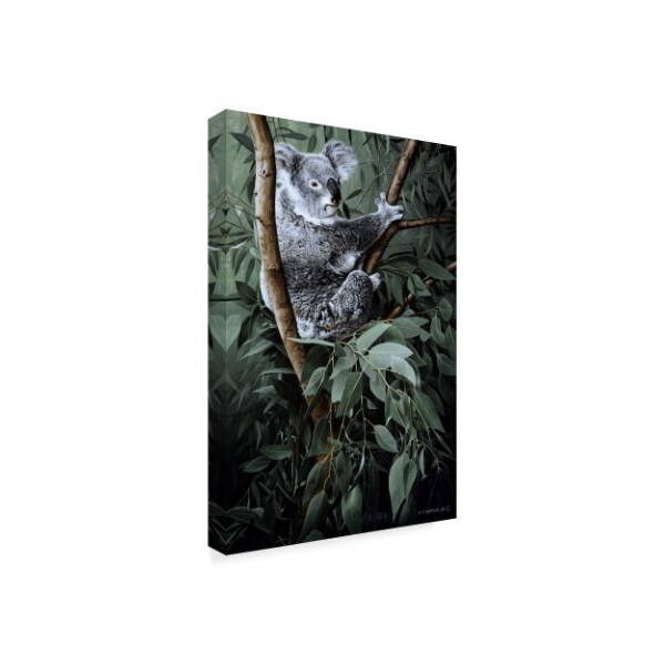 Ron Parker 'Eucalyptus Climber' Canvas Art,16x24